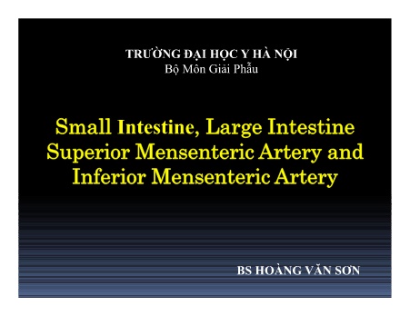 Bài giảng Bộ môn Giải phẫu - Small intestine, large intestine superior mensenteric artery and inferior mensenteric artery
