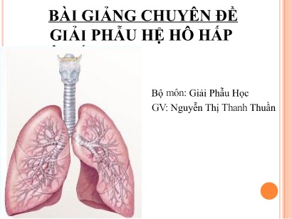 Bài giảng Chuyên đề Giải phẫu hệ hô hấp