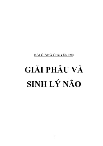 Bài giảng Chuyên đề: Giải phẫu và sinh lý não