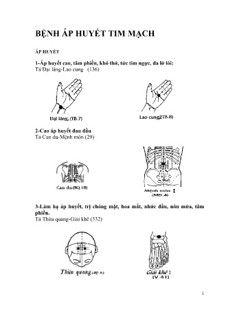 Bệnh áp huyết tim mạch