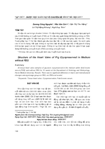 Cấu trúc van tim của lợn đông lạnh trong môi trường không có FBS