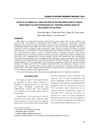 Effects of umbilical cord exctracts on proliferation of human keratinocyte and expression of tyrosine kinase gene of melaninocyte in vitro