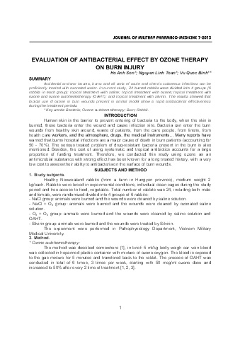 Evaluation of antibacterial effect by ozone therapy on burn injury