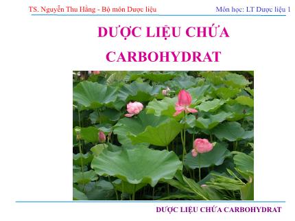 Lí thuyết được liệu 1 - Dược liệu chứa carbohydrat