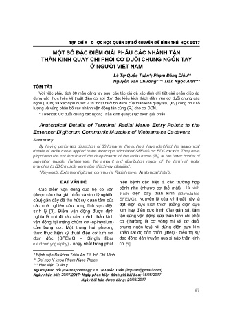 Một số đặc điểm giải phẫu các nhánh tận thần kinh quay chi phối cơ duỗi chung ngón tay ở người Việt Nam