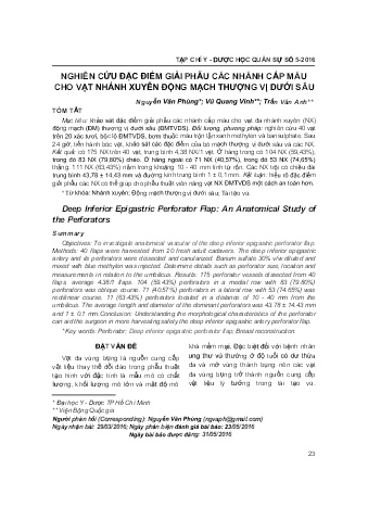 Nghiên cứu đặc điểm giải phẫu các nhánh cấp máu cho vạt nhánh xuyên động mạch thượng vị dưới sâu