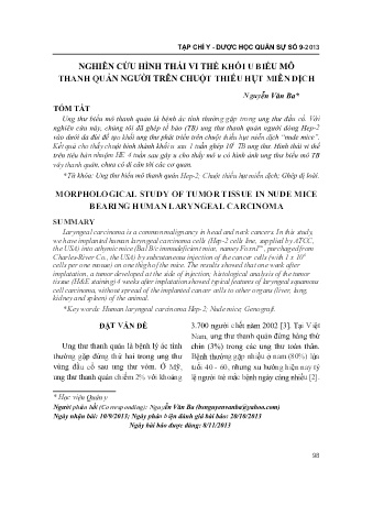Nghiên cứu hình thái vi thể khối u biểu mô thanh quản người trên chuột thiếu hụt miễn dịch