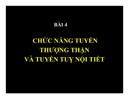 Nội tiết - Bài 4: Chức năng tuyến thượng thận và tuyến tuỵ nội tiết