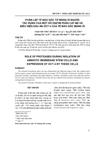 Phân lập tế bào gốc từ màng ối người: Tác dụng của một số enzym phân cắt mễ và biểu hiện dấu ấn oct-4 của tế bào gốc màng ối