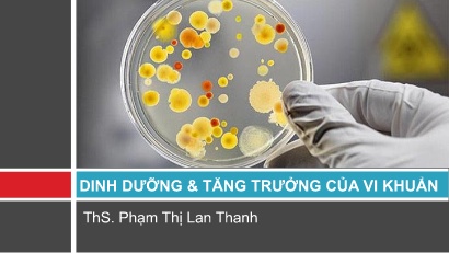 Ví sinh - Dinh dưỡng và tăng trưởng của vi khuẩn