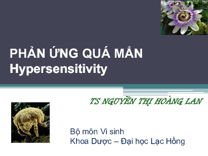 Ví sinh - Phản ứng quá mẩn hypersensitivity