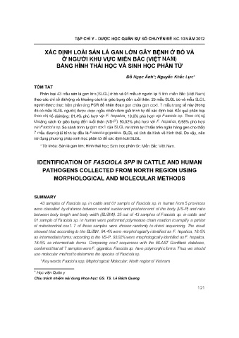 Xác định loài sán lá gan lớn gây bệnh ở bò và ở người khu vực miền Bắc (Việt Nam) bằng hình thái học và sinh học phân tử