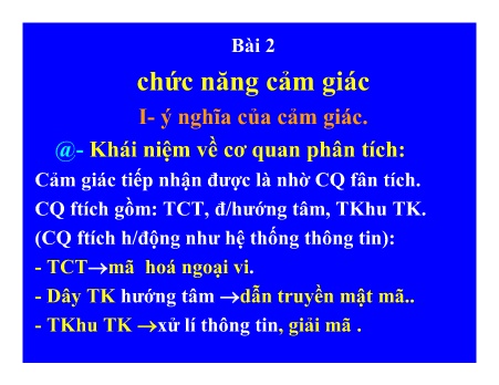 Y khoa, dược - Bài 2 Chức năng cảm giác