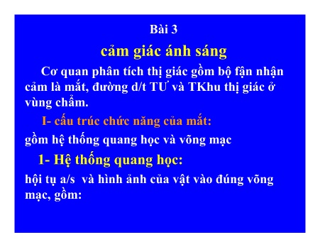 Y khoa, dược - Bài 3: Cảm giác ánh sáng