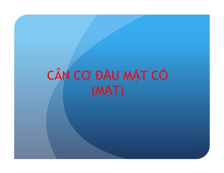 Y khoa, dược - Cân cơ đầu mặt cổ (mặt)