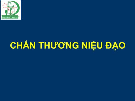Y khoa, dược - Chấn thương niệu đạo