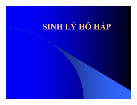 Y khoa, dược - Sinh lý hô hấp