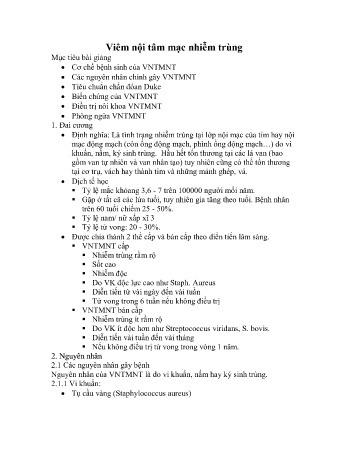 Y khoa, dược - Viêm nội tâm mạc nhiễm trùng