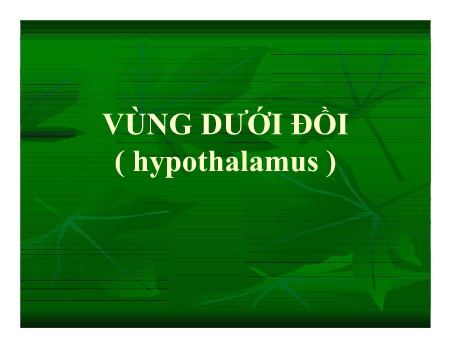 Y khoa, dược - Vùng dưới đồi (hypothalamus)
